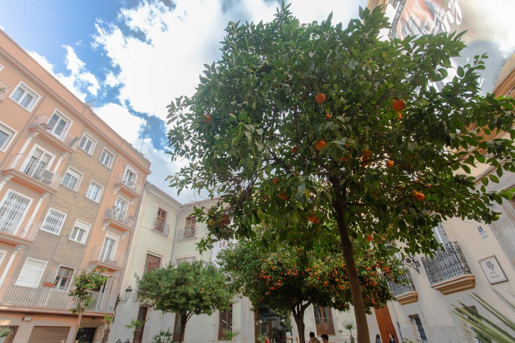 Vlc - Tranquilo Apartamento En Plaza Cisneros Valencia Exteriör bild