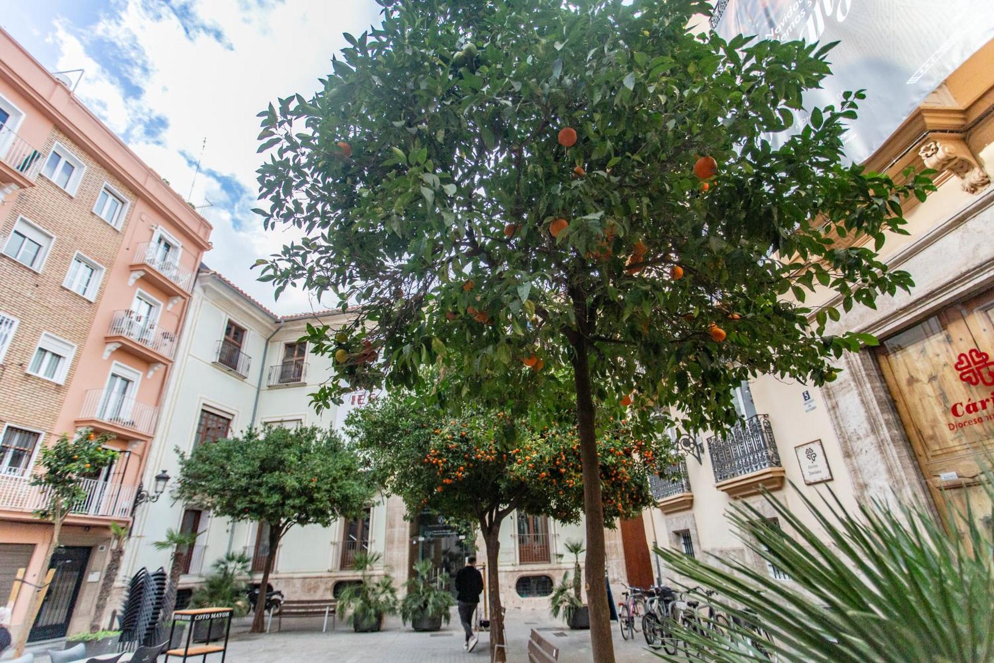 Vlc - Tranquilo Apartamento En Plaza Cisneros Valencia Exteriör bild